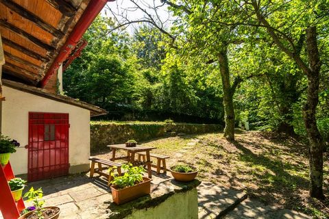 This quiet 3-bedroom holiday home in Migliorini is ideal for couples on a romantic getaway or a small group. There is a shared swimming pool nestled amid nature, to unwind. Situated amid forest, the location of this home offers an opportunity to go h...