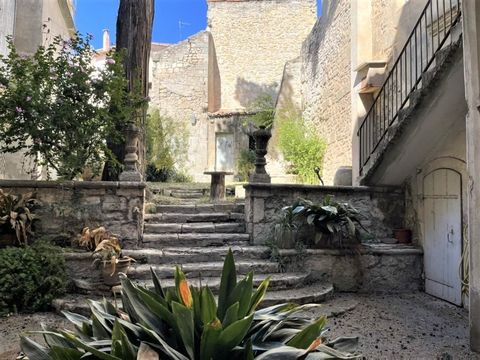 Dpt Bouches du Rhône (13), à vendre ARLES ensemble immobilier dans un hôtel particulier 18ème avec terrasse, jardin, cave et garage