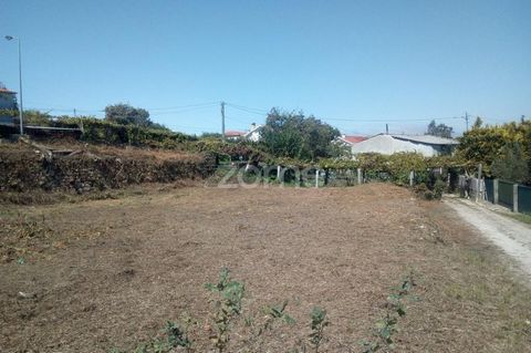 Property ID: ZMPT543636 Urban Terrain in Venade, Caminha, Next to the Squirrel Valley In predominantly rural environment gaveto land with an area of 226m2, located in the center of Venade, 5 minutes away from the center of The Village of Caminha, and...