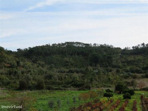 Excellent land in quiet area, unobstructed views to the countryside. Very pleasant surrounding area. Land with 20184 m2 with flat areas and others with slight slope, with unobstructed and pleasant views, inserted in an area of cultivation and forest....