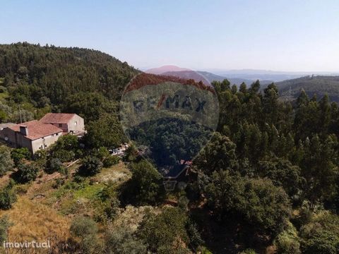 Spacious property to rehabilitate in Vendas, Alvaiázere. Absolute tranquility surrounded by a lot of green with about 3954 m2 of land to enjoy with all the privacy. The upper part of this property has two bedrooms, bathroom and a living room that inv...