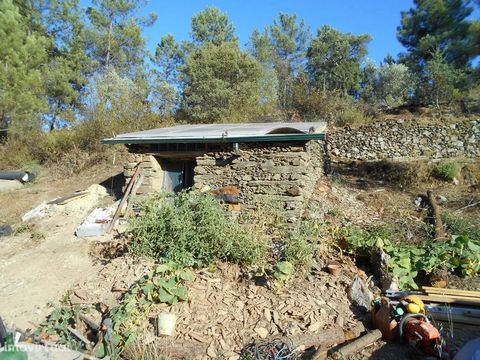 Isolated farm with good access and 10min from the city of Castelo Branco. Composed of farmland and fruit trees, with a well and lots of water. It has a shale farming department with 9m2 and a pine forest area. Electricity at the entrance to the Farm.