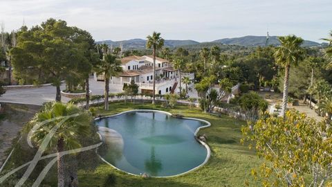 This is a dream come true for any rider. You can visit the impressive horse breeding facility known as Finca Los Olivos, where you can see stables for up to 250 horses, as well as pastures and an outdoor arena with a swimming lake. It's a place where...