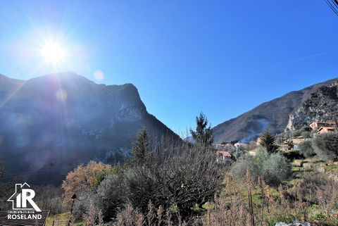 LE FIGARET D'UTELLE. Exclusivity! Life annuity occupied, one head H (72 years). Bouquet 90 000 € annuity 260 € / month. In absolute calm! Detached house facing south with panoramic views on two levels with 1465m2 of land. It consists on the first flo...