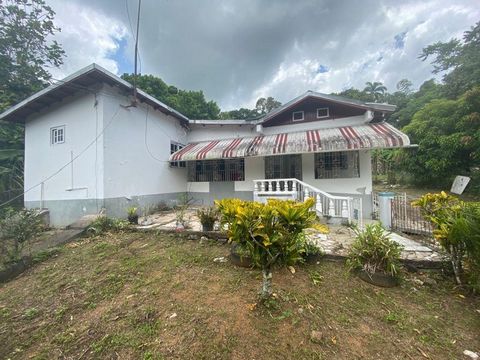 Dieses Haus liegt schön auf einem Hügel in Richmond. Das gut fruchtige Grundstück von etwa einem Hektar besteht unter anderem aus Mangos, Zuckerrohr, Kokosnüssen, Äpfeln, Ackee. Es bietet auch landwirtschaftliche Möglichkeiten, Hühner, Ziegen und ein...