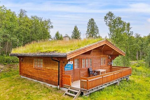 Pleasant holiday cottage by Aursunden Glamås in great hiking terrain not far from the beautiful and historic town Røros. The holiday cottage has a road right to the front and parking right next to the cottage wall. Electricity and water included. The...