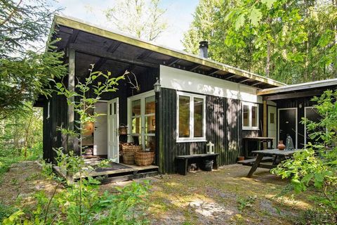 Esta idílica casa de campo se encuentra en un entorno muy tranquilo y pintoresco, a 3 km de Bryrup. La cabaña es sencilla y acogedora y atrae a los que necesitan llevarse bien con la naturaleza. La cabaña está ubicada en el medio del bosque, y puede ...