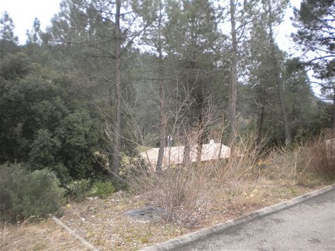 Lot no. 24 surface area 661 m2 Near the town center, sale of a serviced plot (free for builders) in a wooded subdivision, quiet and close to shops. Contacts: Annie NIVELLE / Hervé CHALAMET