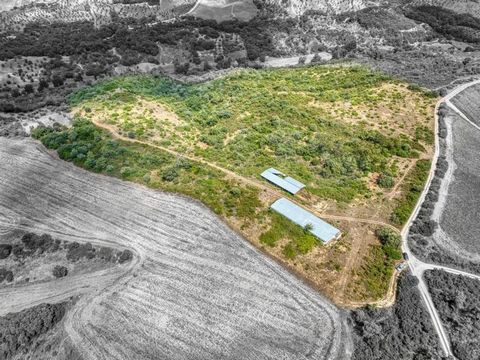 Come and enjoy the synergy of these three plots of land with different items sold together and very well located. They have an area of more than 15 hectares previously planted with olive trees, vineyards and several fruit trees. Located in Abitureira...