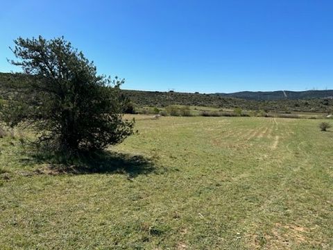 HERAULT 34570 MONTARNAUD leisure land 8000m². Price: 44,990 euros Fees paid by the seller. To visit and assist you in your project, contact Philippe SEMEILHON at ... or by email ... acting for SAS Propriétés.privées.com - RCS: 487 624 77 SAS propriet...