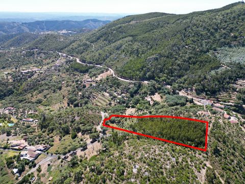 Rustic land for sale, located near Fonte Santa, in Alferce. This is a very quiet area, with easy access, panoramic views and a good supply of natural water. The predominant trees are eucalyptus and cork oaks. Close to the 