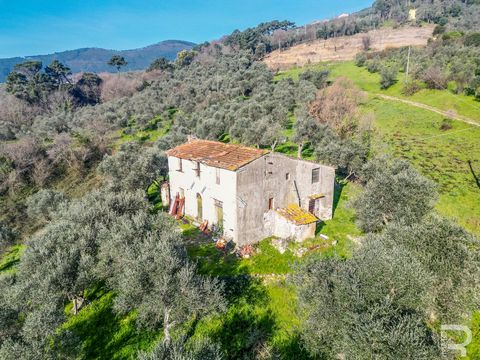 Let yourself be enchanted by this farmhouse in a dream location. Nestled in the idyllic countryside, close to the historic Castello della Verruca, this property offers a unique opportunity for those looking for a treasure to renovate. Although the ho...
