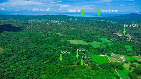 Located within the captivating landscapes of Santa Rosa, Guanacaste, Costa Rica, these three expansive 5000-square-meter lots offer a truly unique opportunity. Enveloped by the natural beauty of the region, the property is a lush jungle paradise with...