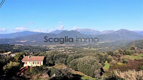 The Scaglia immo agency offers for sale a type 3 apartment on the first floor of a condominium of 4 lots. With a surface area of 65 m2, the apartment consists of a living room, a kitchen, a double bedroom, a second bedroom and a shower room with sepa...