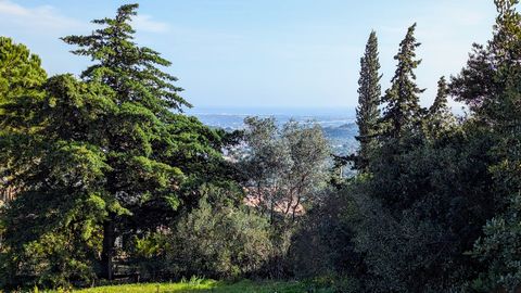 Een ruim perceel met uitzicht op de oceaan, gunstig gelegen in Quinta das Raposeiras (QdR), dicht bij het mooie dorpje Santa Barbara de Nexe. Het perceel heeft een oppervlakte van 1153,5 m2 en heeft goedkeuring van de Raad van Faro om tot 509,30 m2 b...