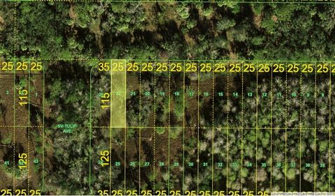 VACANT LOT IN CHARLOTTE COUNTY!!! Tax cloud to expire on 08/28/2027. PRICED TO SELL!!! No road access, call Charlotte County Planning and Zoning for usage.
