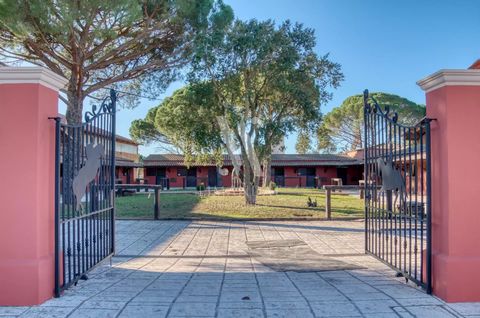 Sole agent by Limandat Immobilier Just 45 minutes from Cannes, surrounded by the typical vineyards of the Var region, discover one of the most beautiful equestrian estates in Europe, able to host major competitions. The estate includes a villa renova...
