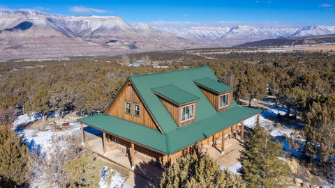 Welcome to this spectacular Western Slope offering in Mesa County, Colorado. This custom Swedish-coped and saddled-notched log cabin sits on a wooded 40 +/- acre parcel with 360 degree unobstructed mountain views. Between the beautiful home, metal sh...