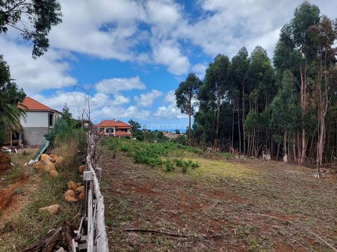 Imagine building your home on this plot of land full of opportunities located in Madeira Island. The property is located in an agricultural space in full nature in the middle of green spaces, slightly humanized. Enjoy this pleasure kept especially fo...