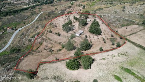 Terrain à vendre avec 14 800m2, un bon emplacement et un bon accès dans la paroisse de Linhares da Beira. Il dispose d’une source d’eau et de 2 réservoirs qui servent de réservoir pour l’irrigation par gravité. Il est proche de la Serra da Estrela.