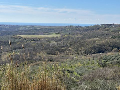Location: Istarska županija, Buje, Buje. ISTRIA, BUJE - Building land with an open view of the sea and a building permit The medieval town of Buje is located on the northwestern part of the Istrian peninsula, and is located on top of a hill with a wo...