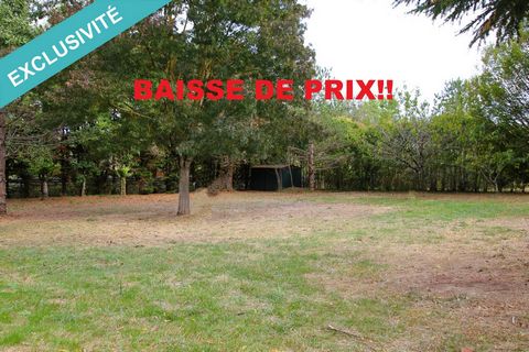 I am pleased to present to you this beautiful flat, wooded land located in the town of Montrabé, in a residential area, in the immediate vicinity of the St Gabriel golf course. Resulting from a plot division, the land to be developed is 1150m² includ...