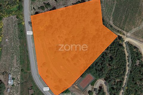 Identificação do imóvel: ZMPT541393 Land on the slopes of the Douro in Sabrosa | With great potential for investment or income Description according to the Land Registry: DOURO VINEYARD, ARVEN CULTURE, PINHAL FOREST, BUSH AND 1 PALHEIRO We are facing...