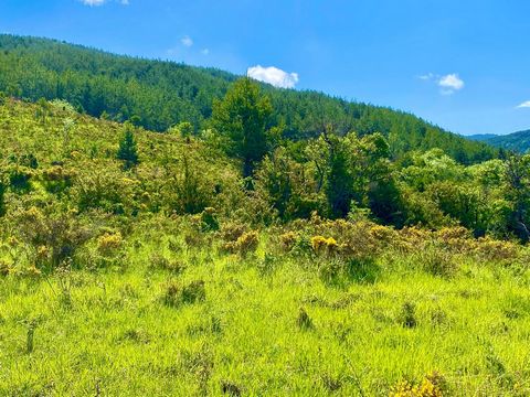 Gran oportunidad para inversores. Â¡Descubre un rincÃ³n Ãºnico en el corazÃ³n del Pirineo aragonÃ©s! Este espectacular terreno en la Jacetania ofrece una oportunidad inigualable para desarrollar un proyecto hotelero singular. Con una superficie total...