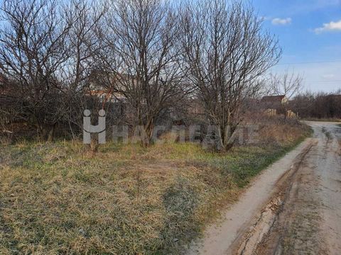 Номер в базе компании: 26160371. Продажа участка Ростовская обл., г. Каменск-Шахтинский, район - Дачи Америка. Площадь участка 5.5 соток, свет, газ по меже. Назначение земли: садоводческое некоммерческое товарищество. Рядом кемпинг, магазин Пятерочка...