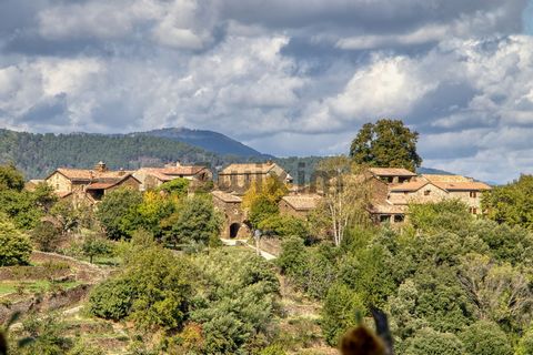 Entre Chamborigaud e Bessèges, em uma aldeia medieval classificada, com vista para os vales de Cevennes, a apenas 30Kms de Alès Mas T6 com terreno e terraços, completamente renovado com bom gosto. A propriedade tem uma cozinha de jantar equipada, sal...