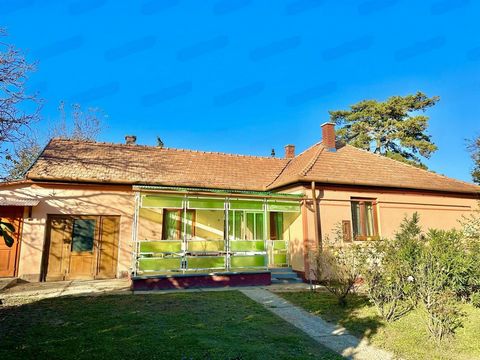 Dieses charmante Einfamilienhaus befindet sich in einer der begehrtesten Gegenden in Marcali, einer malerischen Stadt in Südungarn. Dieses Haus befindet sich auf einem Eckgrundstück und bietet ein gemütliches Layout mit hervorragendem Potenzial für R...