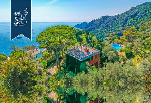 This villa for sale is situated only 500 m from the clear sea of the Ligurian Riviera. The property is surrounded by a luxuriant 6.700 mq wide private park,where it has been built a big pool, enlightened by the sun all day long. The property develops...