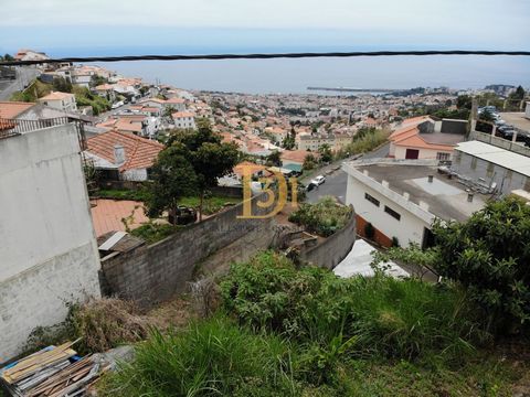 Excelente terreno con vistas a la bahía de Funchal. Si está buscando comprar un terreno en Funchal con vistas, esta es su oportunidad de oro. Se encuentra a 5 minutos del centro de Funchal, en una zona tranquila y junto a la carretera, por lo que el ...