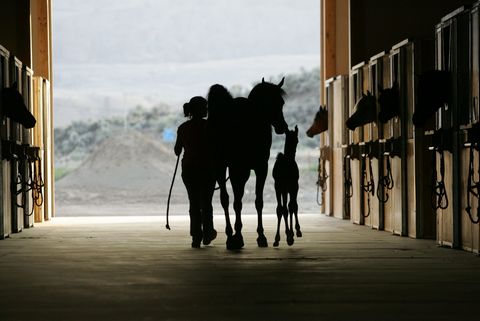 Rio Vista Ranch. State of the art Equestrian facility or Potential Okanogan Winery location in Red Wine Country. Wineries from other regions use grapes from this area to produce award-winning, sun-ripened red wines. Property was originally used for r...