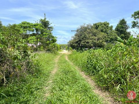 620 sq m vacant land with mountain view for sale in Khok Kloi, Phangnga. Located in a quiet, community-oriented area near the local temple, hospital, and schools, as well as the town center of Khok Kloi. With direct access to a public road, the prope...