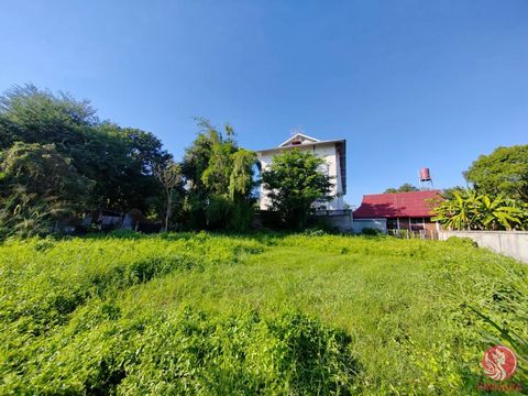 Nestled near Suthep Subdistrict Municipality and Rumpaeng Temple, this 265 Sq Wah. land boasts an optimal location for your investment. Versatile Use: Suitable for various purposes, whether you’re envisioning a dream home, vacation retreat, or consid...