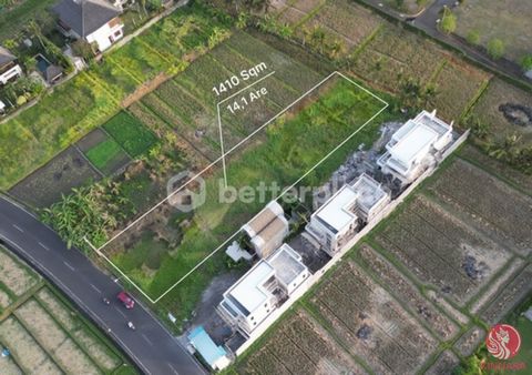 This 14.1 are (1,410 sqm) plot of land in Pangkung Tibah, offers a unique opportunity for investors seeking a tranquil environment with close proximity to the beach. Situated in a highly desirable **pink zone**, this land is ready for both residentia...