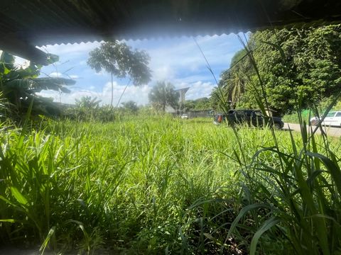 photo no. 2