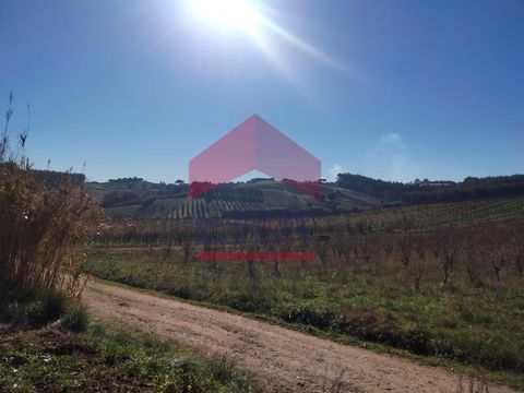 Rustic, flat land measuring 11,160 m2, with a well. Located in a quiet location, about 10 minutes from the town of Bombarral and the access to the A8. For more information or to schedule a visit, please contact us on: (phone hidden) National landline...