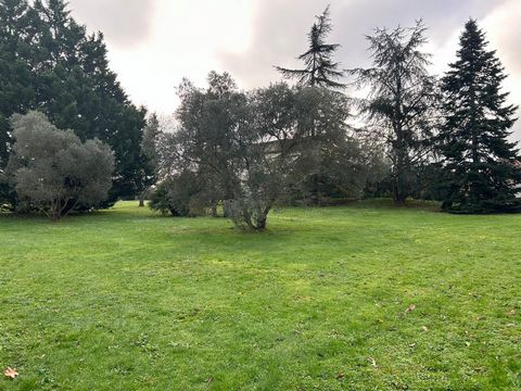 photo no. 2