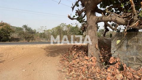 Here comes a massive land of 2,500 square meters on the highway of Sanyang, barely 1km from the Sanyang Police Station enroute to Gunjur. It's on the eastern side of Sanyang. The plot has already been fenced with varying types of trees, a local well ...