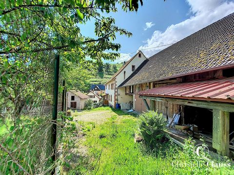 Exklusiv im Herzen des hübschen Dorfes Griesbach-au-Val, großes Haus aus dem 16. Jahrhundert (wichtige Arbeit zu erwarten) mit zwei großen Scheunen, alle auf einem schönen Grundstück von mehr als 15 Ar, das mehrere Möglichkeiten bietet. Informationen...