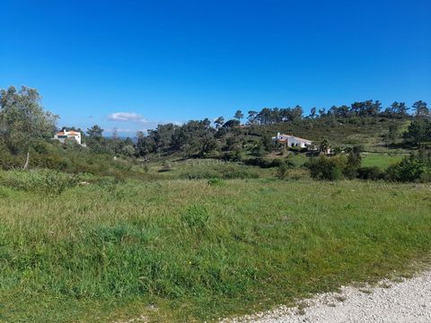 Excellent terrain de 7 000 m2, situé à Massapés (entre Zambujal de Cima et Caixas), paroisse de Castelo, municipalité de Sesimbra, excellent emplacement à 5 km des belles plages de Aldeia do Meco et Lagoa de Albufeira. Ce terrain est inséré dans un e...