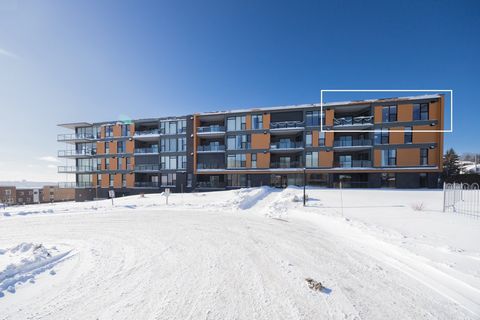 Magnifique condo lumineux avec VUE IMPRENABLE sur le fleuve et l'Île d'Orléans. Clé en main, il offre 2 chambres à coucher dont 1 avec salle de bain privée. Salon muni de son foyer au gaz et d'une fenestration abondante. Thermopompe, échangeur d'air ...