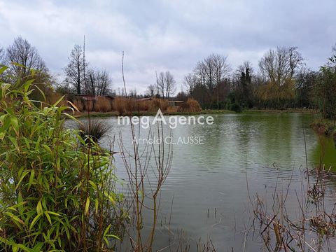 photo no. 11