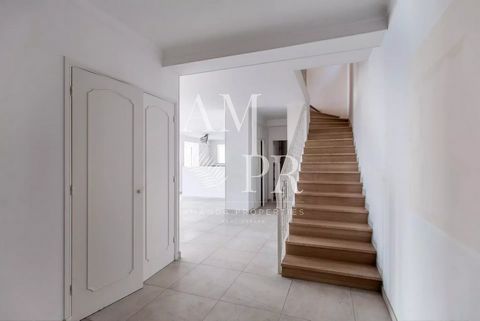 photo no. 14