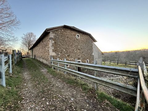 photo no. 6