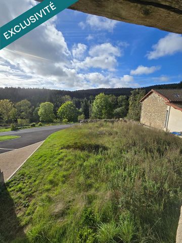 Maison en pierre 156m²