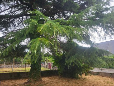 TRES BEAU TERRAIN - HENNEBONT - 266 m²