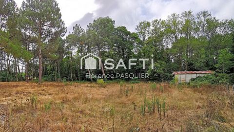 Rare sur Saint- Aubin-du-Médoc